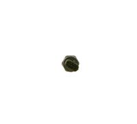 Sensor de presión de combustible BOSCH 0 281 006 160