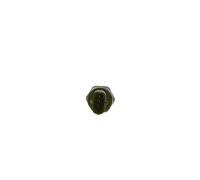 Sensor de presión de combustible Common Rail (CR) 0 281 002 903 BOSCH para FIAT