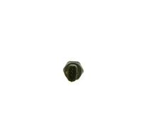 Sensor de presión de combustible Common Rail (CR) 0 281 006 316 BOSCH