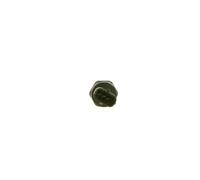 Sensor de presión de combustible Inyección directa 0 281 006 166 BOSCH