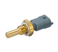 Sensor De Temperatura Conector De 2 Pines (6Pt 009 107-611) OEM Hella