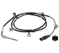 Sensor de temperatura de gases de escape con filtro de partículas 100839