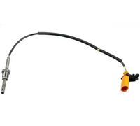 Sensor de temperatura de gases de escape con filtro de partículas 193091