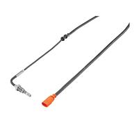 Sensor de temperatura de gases de escape con filtro de partículas 2910000827500