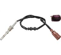 Sensor de temperatura de gases de escape con filtro de partículas 48844 para VW