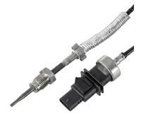 Sensor de temperatura de gases de escape con filtro de partículas 7.12196.06.0