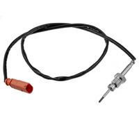 Sensor de temperatura de gases de escape con filtro de partículas EGT-AU-061 NTY