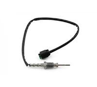 NTY EGT-BM-007 Sensor, temp. gas escape