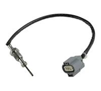 NTY EGT-MS-000 Sensor, temp. gas escape