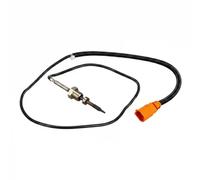 Sensor, temperatura de gases de escape DELPHI TS30166