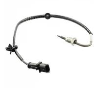 Sensor, temperatura de gases de escape DELPHI TS30182