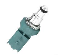 Sensor de temperatura del motor para sistema de inyección Delphi | Cuerpo metálico, junta tórica integrada, funcionamiento sin fugas, resistente, para sistemas delphi