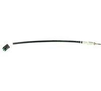 Sensor de Temperatura Emisión para BMW 3er E90/E91/E92, 5er E60 / E61, 6er E63 /