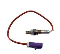 Sensor Oxígeno Trasero Para Ford Fiesta 1.6L 11-18 Auto-part AE81-9G444-BC AE8Z-9G444-B 1682753 Sonda Lambda Sensor