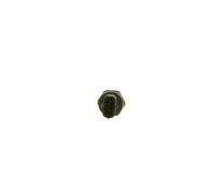 BOSCH 0 281 007 017 Sensor presión combustible lado alta presión