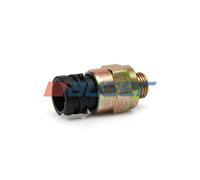 Sensor, sistema de aire comprimido AUGER 79179