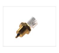Sensor, temperatura de aire de admisión HANS PRIES 301 691