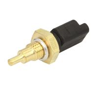 Sensor, temperatura de refrigerante DELPHI TS10401