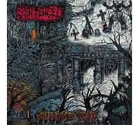 Sentenced - Shadows of the past