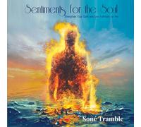Sentiments for the Soul: Strengthen Your Spirit and Live Faithfully on Fire