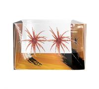 Señuelo de criatura tentáculo, señuelos de pesca realistas con múltiples tentáculos, cebo de erizo suave, señuelos artificiales suaves para orilla, trucha, río, lago, agua salada, agua dulce