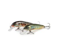 Señuelo de mar duro Salmo Lake Charr 6F 6 cm