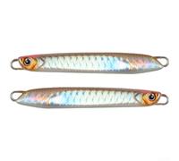 Señuelo de metal hundido, 30 g, lubina de agua salada (plata 30 g)