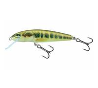Señuelo flotante Salmo Minnow 6g 7 cm