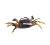 Señuelos de cangrejo 3D de 10 cm para pesca en agua salada, perfectos para lubina, pez y bacalao, incluye 2 ganchos para un cebo eficaz (marrón)