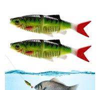 Señuelos De para Bar | 2 Piezas Señuelos Flexibles Simulación De,Cebos Simulación De A La Línea,para Agua Salada Agua Dulce Hielo Orilla Camping Estanque Kayak Al Aire Libre Bass Trucha