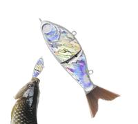 Señuelos de sin Pintar,Señuelos sin Pintar - Cola Suave del Cebo Deslizante de 2 segmentos | Señuelo de Artificial para Agua Dulce y Salada, Artes de