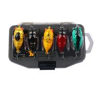 Señuelos para la - Señuelo de pescado con forma de cigarra 3D 5 piezas | Señuelos de pesca realistas con caja de almacenamiento, marcha exterior ligera para los aficionados de para principiantes