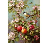 Senyanr Diamond Painting Kit para Adultos Aves, DIY 5D Rama de Frutas Pintura de diamante adultos, Taladro Round Completo, Cuadro Diamante Art Rhinestones Bordado para Decoración Hogar 34x42in