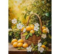 Senyanr Paint by Numbers Kits for Adults with Frame Floral Lemon,Painting by numbers On Canvas for Beginner,DIY Color Acrylic Paints Oil painting Art Crafts for Home Wall Decor Gift 20x30cm