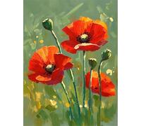 Senyanr Paint by Numbers Kits for Adults with Frame Orange Flowers,Painting by numbers On Canvas for Beginner,DIY Color Acrylic Paints Oil painting Art Crafts for Home Wall Decor Gift 60x90cm