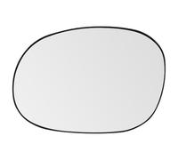 SENZEAL Cristal de Espejo Izquierdo para Citroen C2 C3 Pluriel Xsara Picasso Peugeot 1007 206 Lado del Conductor Calefactado con Placa de Soporte 8151GE 8151GF (Izquierda)