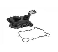 Separador de aceite del respiradero del motor Bloque motor V10-5795 VAICO