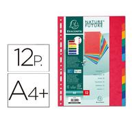 Separador archivo Exacompta din a4+ multitaladro con 12 separadores cartulina color surtidos