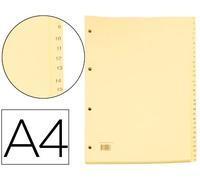 Separadores Cartonex 1 a 31