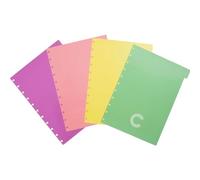 Separadores cuaderno inteligente grande color pastel