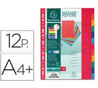 Separador exacompta cartulina simil prespan juego de 12 separadores din a4+ multitaladro colores vivos