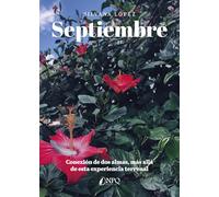 SEPTIEMBRE: Conexión de dos almas, más allá de esta experiencia terrenal.