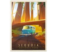 Sequoia National Park: Through The Trees, póster vintage - Rompecabezas premium de 1000 piezas para adultos