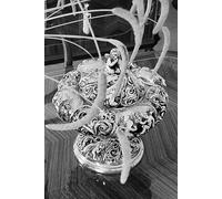 Ser justo: Un injerto délfico: Manual para la resistencia legal en la era del control