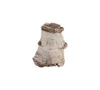 Sera Asian Pagoda Piedra Gris y Beige para acuarios