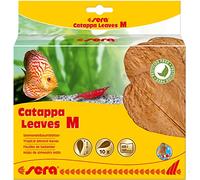 sera Catappa Leaves M 16-20 cm (10 Unidades) - Hojas de almendras Marinas para el Tratamiento Natural del Agua