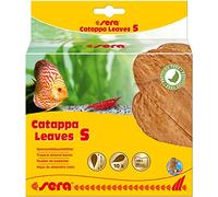 sera Catappa Leaves S 10 - 15 cm (10 Unidades) - Hojas de almendras Marinas para el Tratamiento Natural del Agua