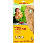 sera Catappa Leaves XXL 30-35cm 10pcs