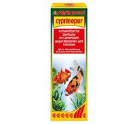 Sera Pond Cyprinopur 250Ml
