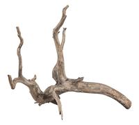 sera Scaper Root XS - Raíz de Filigrana (18-20 cm, 3 tamaños Diferentes)